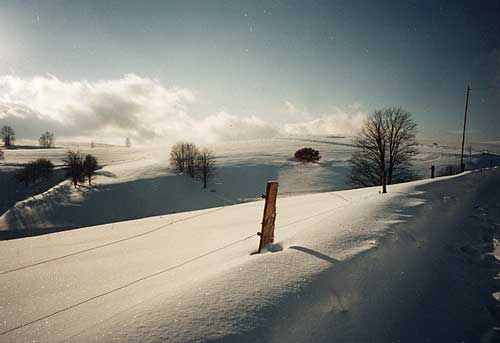 Blick vom Panorama-Rundweg