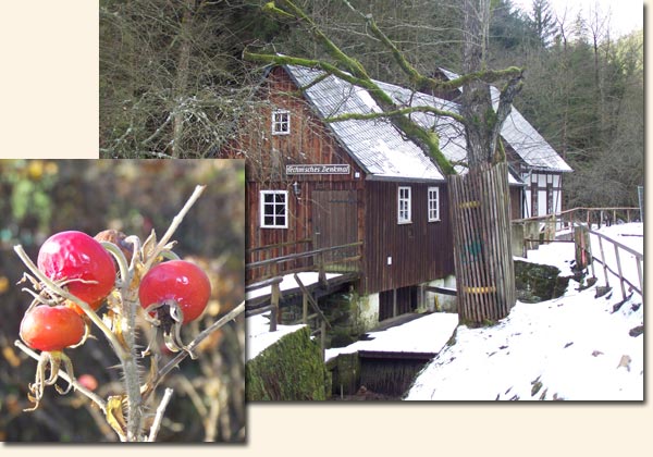Winter im Kirnitzschtal