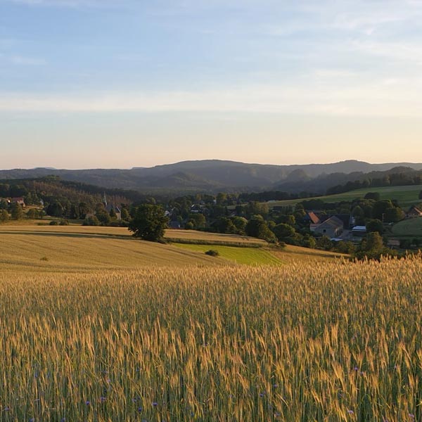 Sommerimpressionen