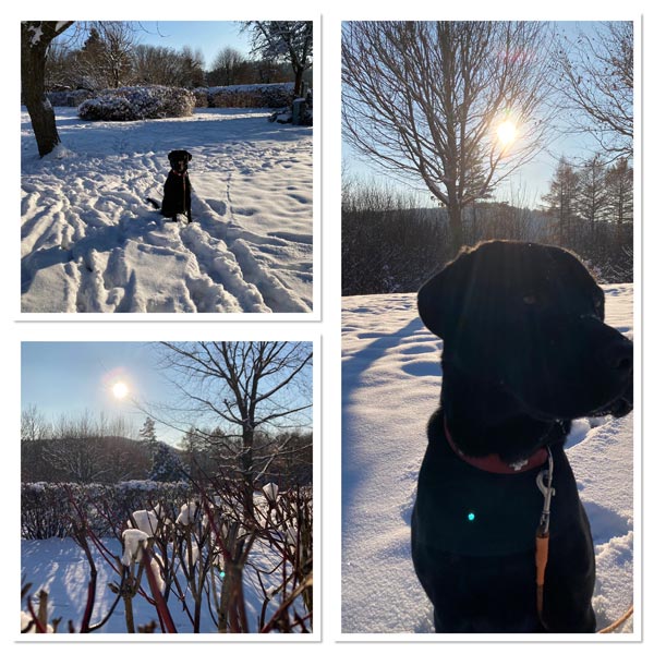 Winter in Hinterhermsdorf