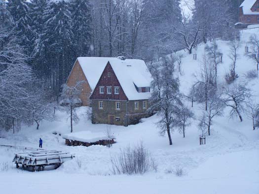 Waldhusche im Winter